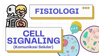 Komunikasi SelCell Signaling Autocrine Paracrine Endocrine amp Transduksi Signal  Fisiologi 101 [upl. by Anirbed]