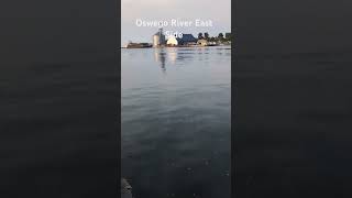 Oswego River Oswego New York 3rd October 2024 [upl. by Sylvie]