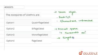 The zoospores of Ulothrix are [upl. by Pinette]