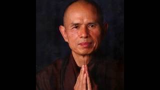 Thich Nhat Hanh  Introduction to Mindfulness  Tranquility Meditation [upl. by Oijres]