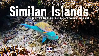 Similan Islands  One of the Top 10 dive destinations to visit in the World [upl. by Bik]