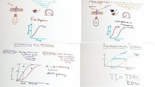 Pharmacology6PharmacodynamicsAgonistAntagonistPotencyEfficacyAfSoomaali [upl. by Lesak]