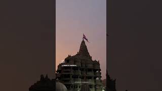 Dwarkadhish video rajadhiraj gokulnagari shortvideo song dwarkadhish [upl. by Anatol299]