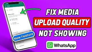 Media Upload Quality on WhatsApp Not Showing 2024 Updated [upl. by Boorman598]