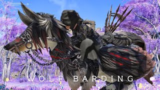 ダークファンタジーな鎖の狼チョコボ装甲『ウルフ・バード』Final Fantasy XIV [upl. by Gould]