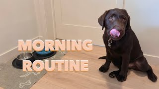 LABRADOR PUPPYS MORNING ROUTINE [upl. by Ainerbas]