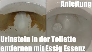 Urinstein in der Toilette entfernen mit Essig Essenz Anleitung [upl. by Nosnej696]