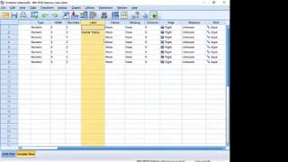 Introduction to SPSS in Urdu [upl. by Githens]