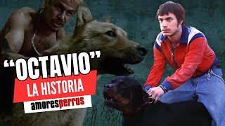 La HISTORIA de quotOCTAVIOquot  AMORES PERROS [upl. by Aniram]