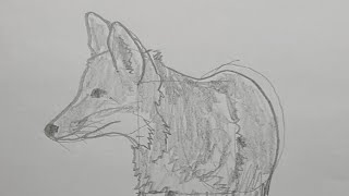 Easy way to draw a realistic fox 🦊 Stepbystep drawing lesson for beginner artists [upl. by Row]