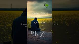 3 Cheez kasmiri emotional life shorts trending whatsappstatus youtubeshorts shortvideo love [upl. by Lemon]