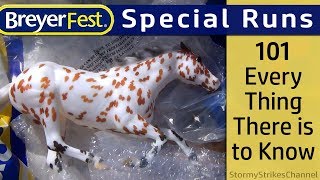 Ultimate Guide to BreyerFest Special Runs   BF Survival Guide Ep 3 [upl. by Postman]