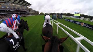 British Champions Day Jockey Camera [upl. by Kittie]