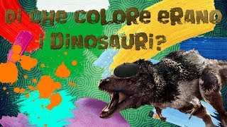 Di che colore erano i Dinosauri [upl. by Zeitler]