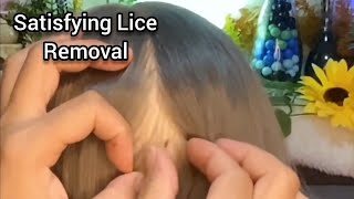 ASMR 🌻 Most Satisfying Lice Removal and Scalp CheckScratching lice pick parting  No Talking😴😪 [upl. by Aibsel]