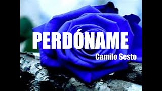 PERDÓNAME  Camilo Sesto Letra [upl. by Selimah638]