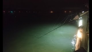 Squid Fishing Long Island at Night Ep 106 [upl. by Skyla]