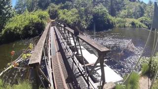 Little Qualicum River Fish Hatchery trail [upl. by Merdith317]