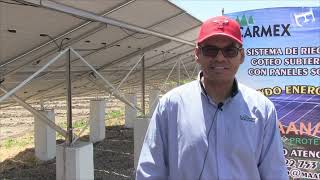 😱👏 Enterate Instalación de paneles solares para riego cañero en Atencingo‼ [upl. by Eiznekam]