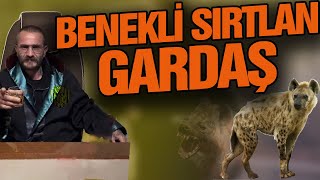 ANKARAGÜCÜmüzün sembolü BENEKLİ SIRTLAN Belgeseli [upl. by Scrivings]