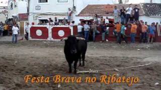 Azambuja  Feira de Maio 2009 Largada de Toiros  Dia 1 Junho [upl. by Sherwynd878]