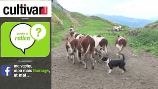 Question de Ration 8 en HauteSavoie [upl. by Nohsram]