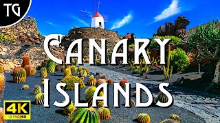 Wonders of the Canary Islands [upl. by Gwenora366]