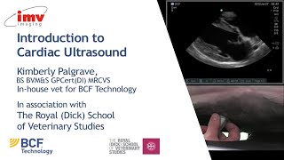 IMV imaging cardiac ultrasound video 1  Introduction to performing an echo [upl. by Irihs213]