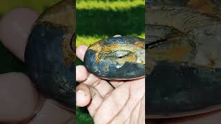 vasudevan vasudevkrishna shortsvideo stone shaligramshila crystals tranding [upl. by Dunkin]