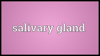 Salivary gland Meaning [upl. by Aicnarf]