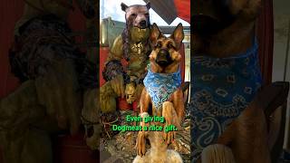 Erickson and Dogmeat’s Unique Interaction in Fallout 4 [upl. by Ardrey]