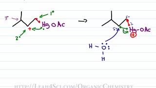 Oxymercuration Demercuration Reduction  Alkene Reaction Mechanism by Leah Fisch [upl. by Khosrow]