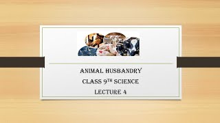 Class 9th Science Improvement in Food Resources  Animal Husbandry Lecture 4 [upl. by Yattirb171]