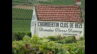 Gevrey Chambertin Grand Cru Premier Cru Villages [upl. by Arikaahs361]