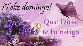 🌸Feliz Domingo🌸 el video más lindo abrelo es para ti bendiciones25 [upl. by Fairfax173]