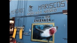 FISH MARKET  FISHY BUT DARN GOOD MERCADO NEGRO ENSENADA 2018 \\ BajaLoveAndTravel [upl. by Smailliw]