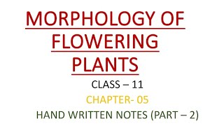 CLASS 11  BIOLOGY  CHAPTER 05  MORPHOLOGY OF FLOWERING PLANTS  HAND WRITTEN NOTES  PART 2 [upl. by Mosier]