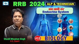 Lec 13 II अंतःस्रावी तंत्र  Endocrine System  II Biology II RRB 2024 ALP amp Technician [upl. by Odraude]