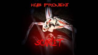 KGB Projekt  Brandenburg Gate Lulu Cover [upl. by Gathers]