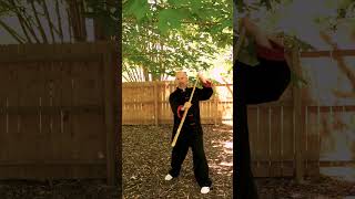 Bo Staff Gain Distance Easily danielmattson kungfu martialarts shaolin [upl. by Yrrem]