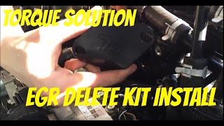 Torque Solution EGR delete kit 2016 Subaru WRX [upl. by Inaffyt176]