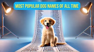 Top 10 MOST POPULAR Dog names of all time [upl. by Hajed654]