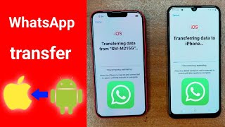 WhatsApp Transfer Android to iPhone  Android to iPhone All Data Transfer [upl. by Jasmine]