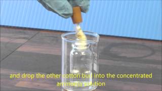 Ammonia amp HCl Diffusion Demonstration [upl. by Anavrin]