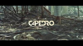 C4 Pedro  Tu És a Mulher Teaser [upl. by Abbott90]