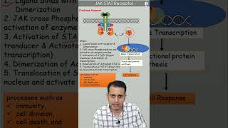 JAK STAT Signaling Pathway  Enzyme liked receptor  GPAT  NEET PG [upl. by Julis]