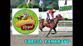 HIPISMO  24112024 A GANAR CON GRECIA ZAMBRANO [upl. by Ibmab799]