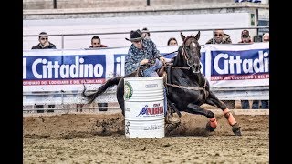 TOP 20 Barrel Racing 2018 [upl. by Sybyl14]