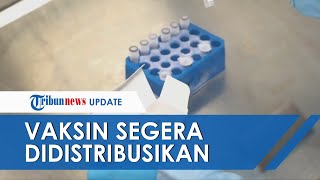 250 Juta Dosis Siap Didistribusikan Akhir Tahun Ini Dua Skema Dapatkan Vaksin Corona Pemerintah [upl. by Maximilianus]