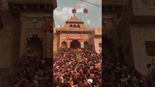 shreee ladli radhe vrindavan  viral shorts [upl. by Esiocnarf558]